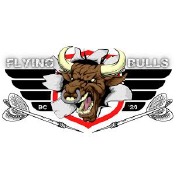 Eisbaeren-Logo Eisbaeren-Logo